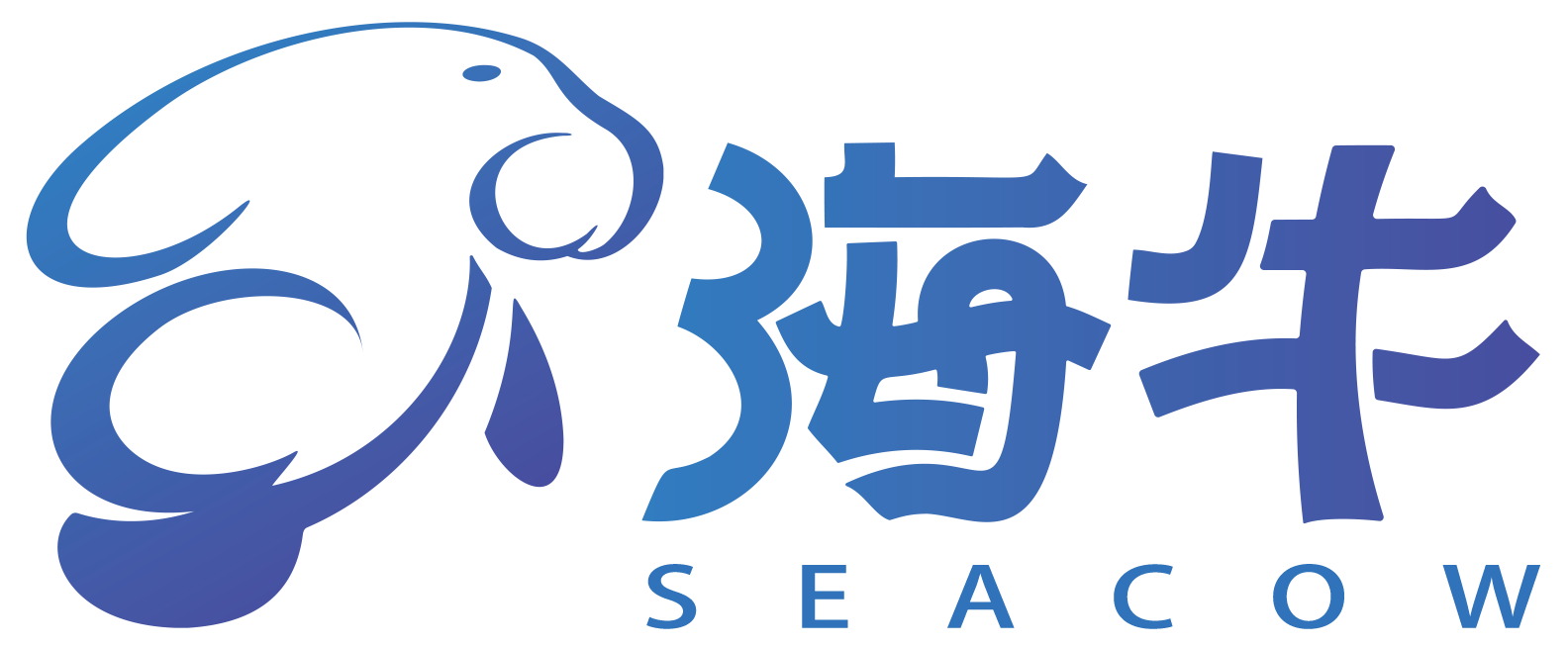海牛课堂